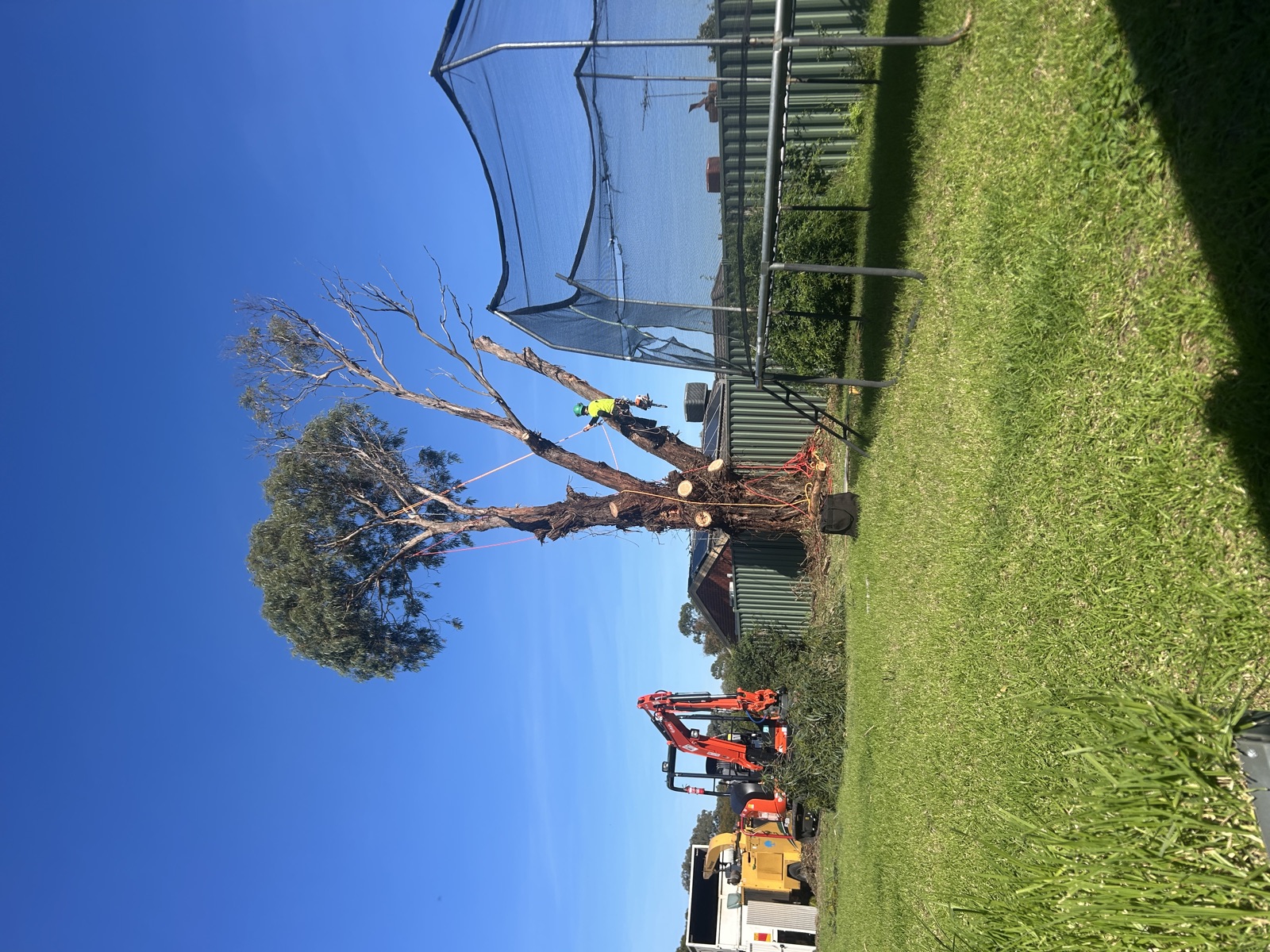 Recent Valley Arbor tree job